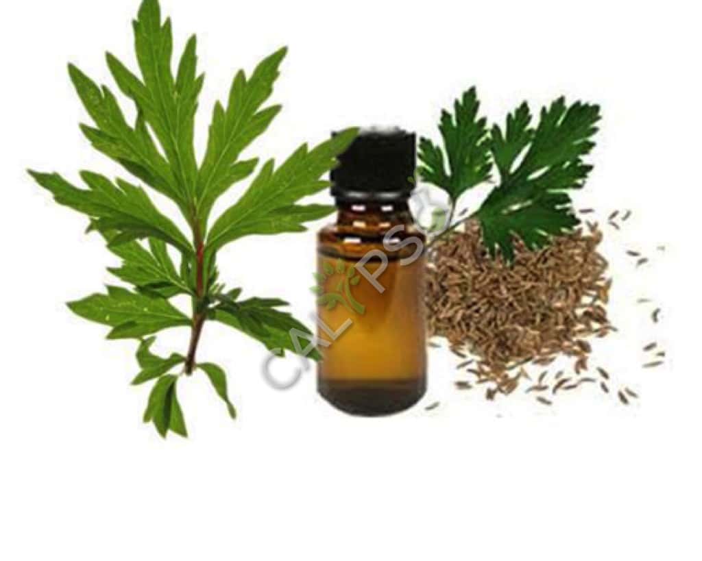 Comprar el aceite esencial natural de Davana